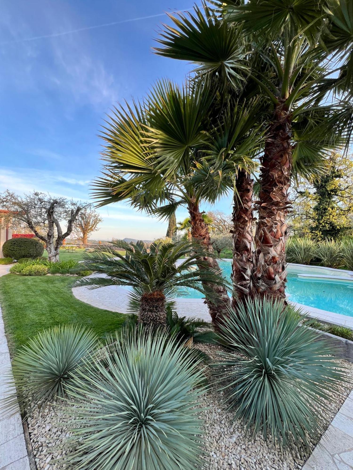 Villa Mario Resort Salò Buitenkant foto
